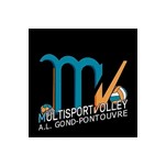 format_logo_section volley